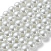Baking Painted Pearlized Glass Pearl Round Bead Strands HY-Q003-12mm-01-2
