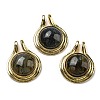 Natural Labradorite Pendants G-M405-06G-3