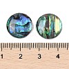 Natural Paua Shell Cabochons SSHEL-I026-20B-3