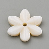 Natural Freshwater Shell Beads SHEL-S269-32-3