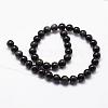 Natural Obsidian Beads Strands G-D838-10mm-04-2