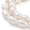 Natural Cultured Freshwater Pearl Beads Strands PEAR-P062-10C-4