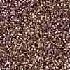 Cylinder Seed Beads SEED-H001-G19-4