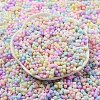 Macaron Color Opaque Frosted Glass Seed Beads SEED-K009-12B-01-2