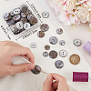 80Pcs 4 Styles Shell Buttons FIND-BBC0015-95B-3