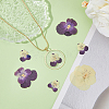 HOBBIESAY 90Pcs 3 Style Dried Pansy Flower DIY-HY0001-62-4
