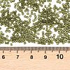 MIYUKI Delica Beads SEED-MY11-DB2404-3