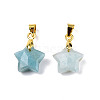 Natural Amazonite Charms X-G-N326-142-08-2