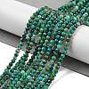 Natural Chrysocolla Beads Strands X-G-P514-A03-02-01-2