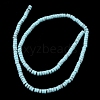 Dyed Synthetic Turquoise Beads Strands G-Z089-A04-F-4