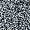 TOHO Round Seed Beads X-SEED-TR08-0565-2