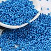 Baking Paint Glass Seed Beads X-SEED-S042-05B-76-1