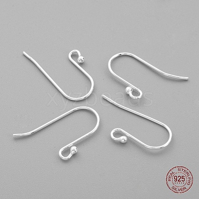 Sterling Silver Earring Hooks STER-G011-05-1