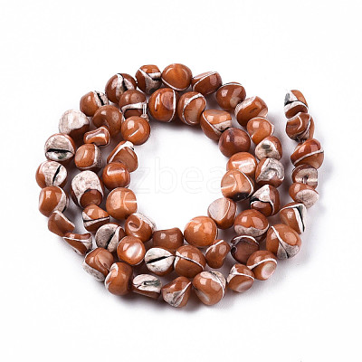 Natural Trochid Shell/Trochus Shell Beads Strands SSHEL-N032-48-A07-1