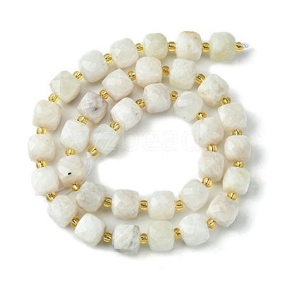 Natural Moonstone Beads Strands G-Q010-A05-01-1
