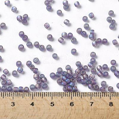 TOHO 8/0 Round Beads X-SEED-TR08-0166DF-1
