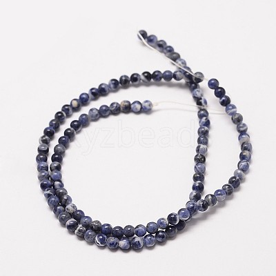 Natural Sodalite Round Bead Strands X-G-P072-27-4mm-1