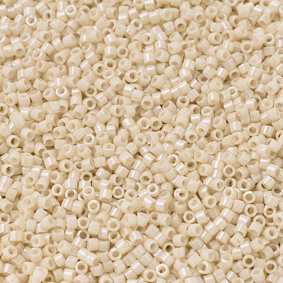 MIYUKI Delica Beads X-SEED-J020-DB0204-1