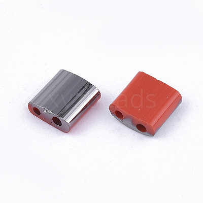 FGB 2-Hole Glass Seed Beads SEED-S031-L-045-H-1