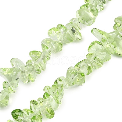 Transparent Glass Beads Strands GLAA-Z009-01H-1