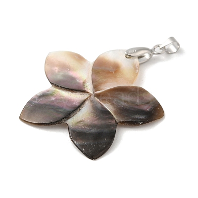 Natural Black Lip Shell Pendants SHEL-M019-03P-1