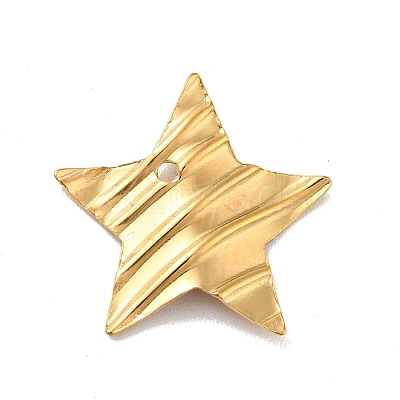 304 Stainless Steel Pendants STAS-D187-03G-1