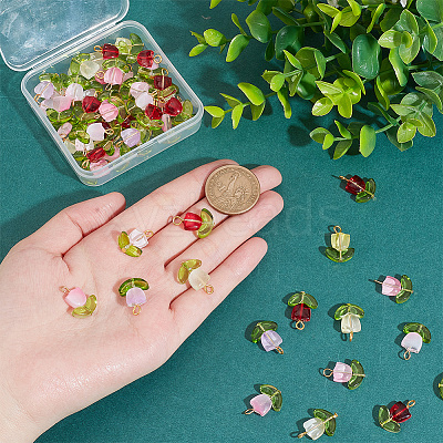 60Pcs Handmade Lampwork Pendants FIND-DC0004-83-1