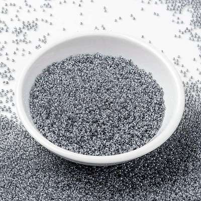 MIYUKI Round Rocailles Beads X-SEED-G009-RR0240-1