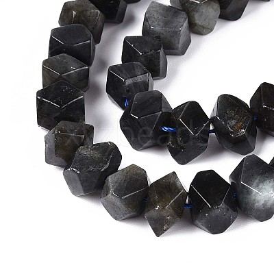 Natural Larvikite Beads Strands G-N327-05-28-1