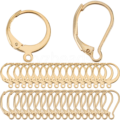 2 Style 304 Stainless Steel Leverback Earring Findings STAS-SC0008-10G-1