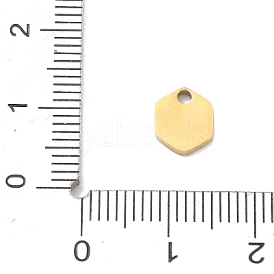 304 Stainless Steel Charms SA-CBA2714-01B-G-1