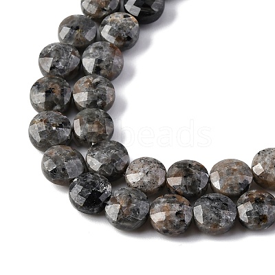 Natural Fluorescent Syenite Rock(Glow under UV Light) Beads Strands G-C179-A39-03-1
