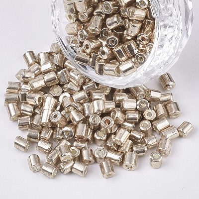6/0 Two Cut Glass Seed Beads SEED-S033-03B-01-1