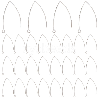 304 Stainless Steel Earring Hooks STAS-PH0018-18-1