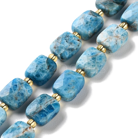 Natural Apatite Beads Strands G-H061-A04-01-1