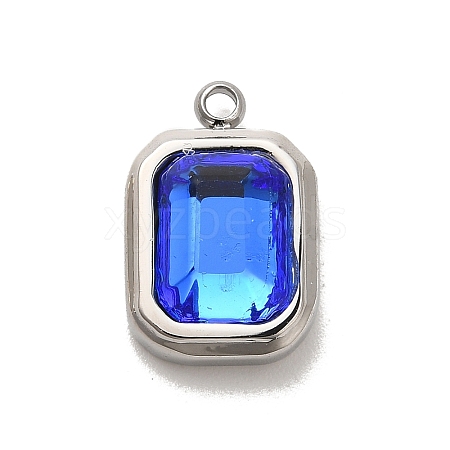 High Polished 304 Stainless Steel Glass Pendants STAS-L022-062P-07-1
