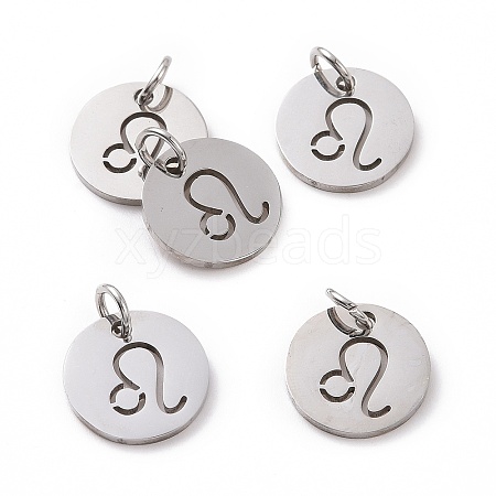 Non-Tarnish 304 Stainless Steel Charms STAS-Q201-T445-5S-1