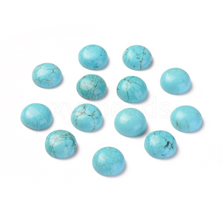 Natural Howlite Cabochons TURQ-L031-033A-01-1