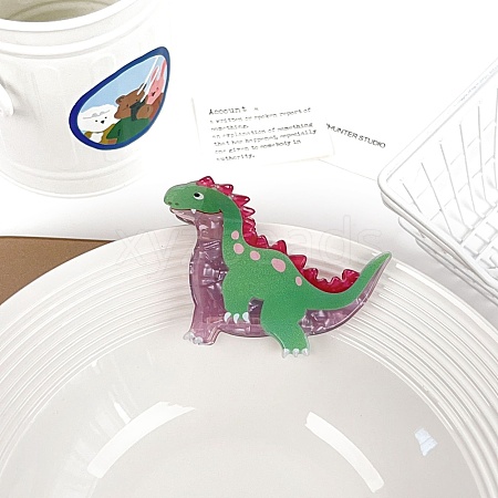 Dinosaur Acrylic Claw Hair Clips PW-WG0505F-02-1