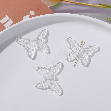Transparent Acrylic Pendants LS-TACR-D014-01A-1