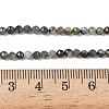 Natural Kyanite Beads Strands G-Z104-B01-4mm-B-01-5