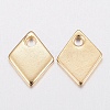 304 Stainless Steel Charms STAS-G179-82G-2