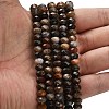 Natural Petrified Wood Beads Strands G-Z111-A50-2