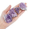 SUPERFINDINGS 4Pcs 4 Style Natural Amethyst Clusters Ornaments G-FH0002-04-2
