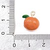 Fruit Alloy Enamel Charms ENAM-P264-02A-G-4