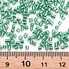 Glass Bugle Beads SEED-S032-08A-50A-4