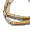 Natural Fossil Coral Beads Strands G-F631-E05-3