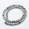 Natural Sesame Jasper/Kiwi Jasper Beads Strands X-G-I199-29-6mm-2