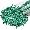TOHO 8/0 Round Beads SEED-XTR08-0055D-1