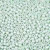 Baking Paint Pearlized Glass Seed Beads SEED-T008-03P-3